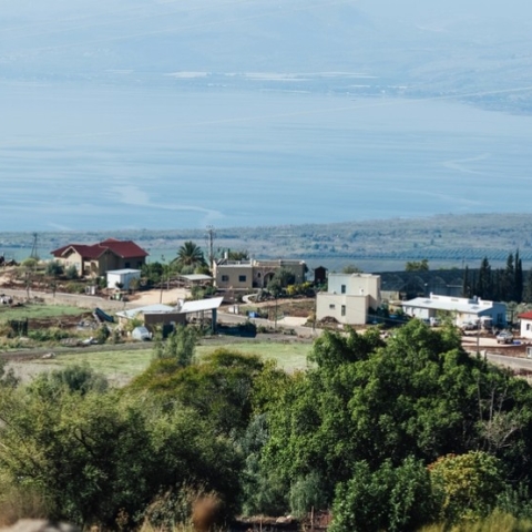 קהילה (2).jpg
