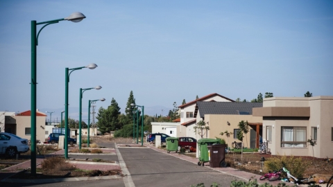 יונתן (6).jpg