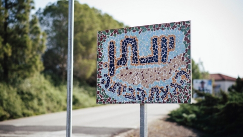 יונתן (3).jpg