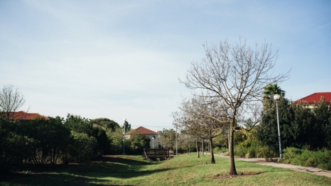 יונתן (2).jpg