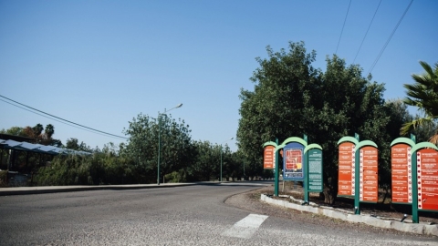 נוב (6).jpg