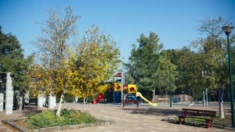 נוב (4).jpg