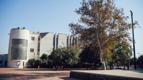 נוב (5).jpg