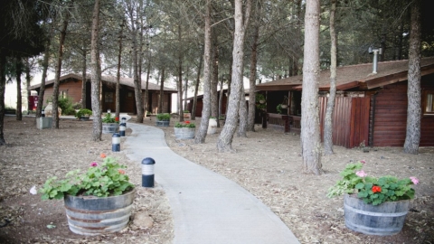 אורטל (6).jpg