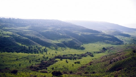 אפיק (1).jpg