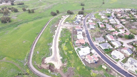קדמת צבי.jpg