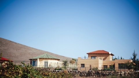 שעל (2).jpg