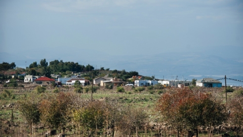 כנף (4).jpg