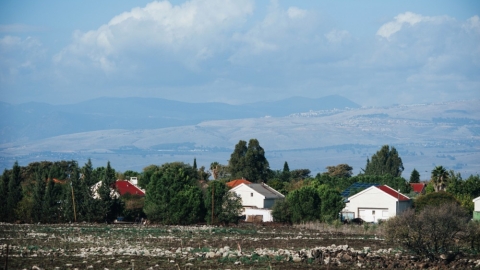 כנף (1).jpg