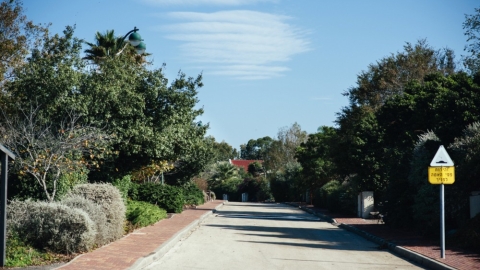 כנף (3).jpg