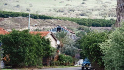 רמות (2).jpg