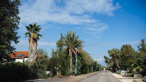 רמות (1).jpg