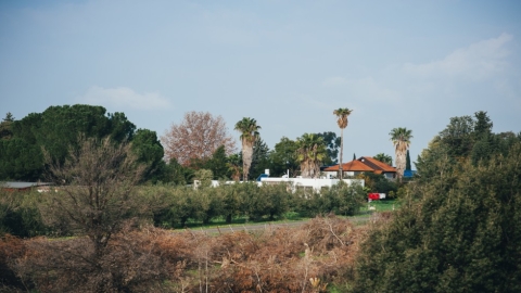 אליעד (2).jpg