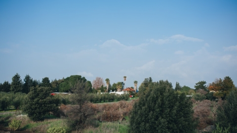 אליעד (1).jpg