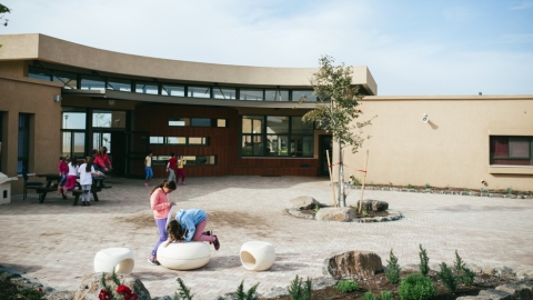 נטור (4).jpg