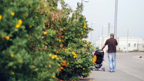 נטור (7).jpg