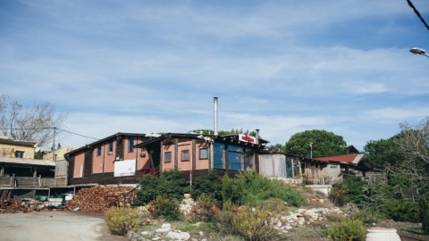נמרוד (2).jpg