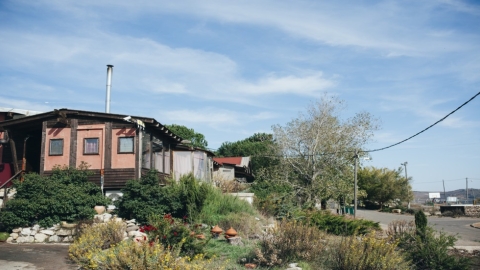 נמרוד (3).jpg