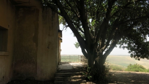 אפיק (1).jpg