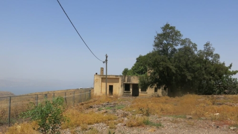 אפיק (2).JPG