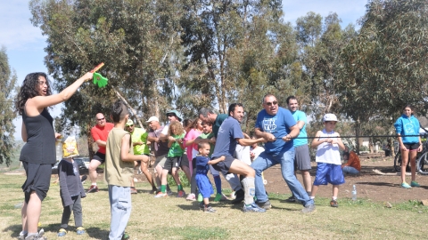 כנף (1).jpg